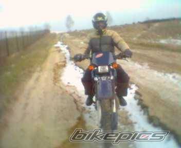 Photo 333379