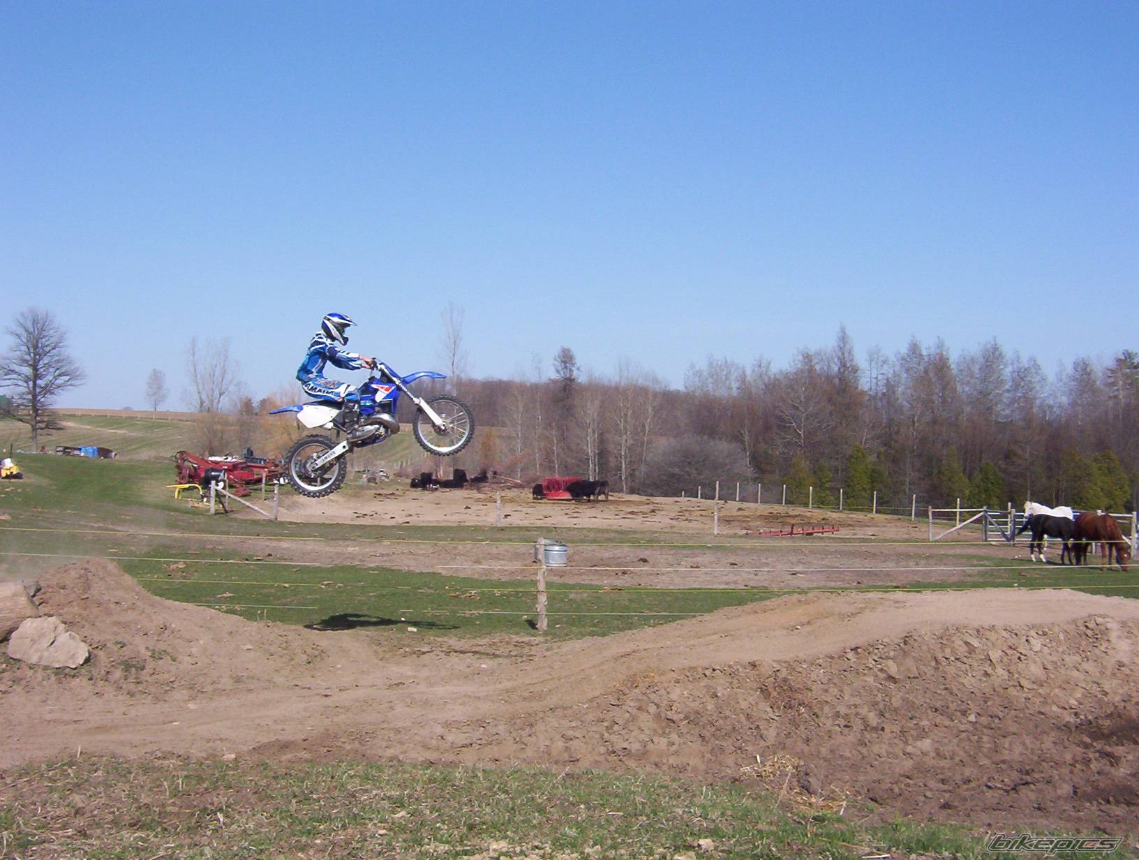 Photo 333525