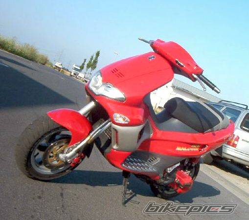 Photo 33358
