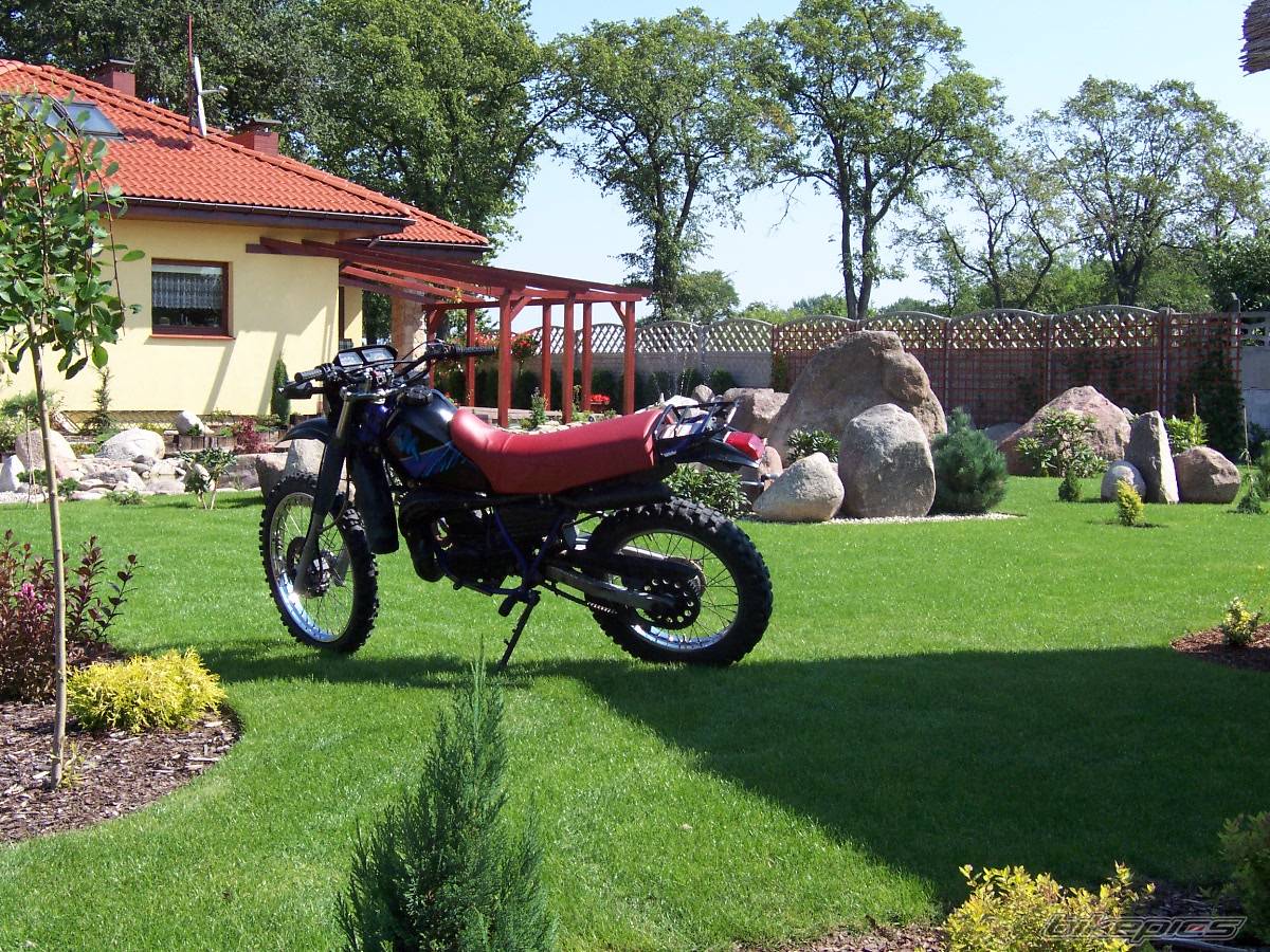 Bike Photo 333622