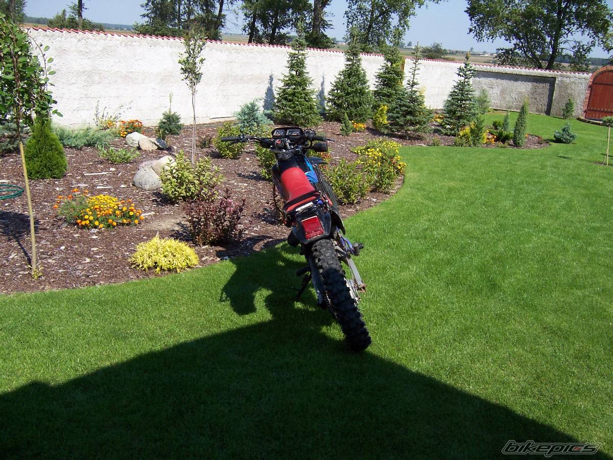 Bike Photo 333629