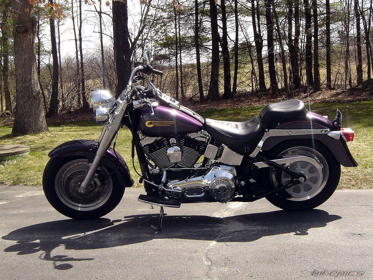 Bike Photo 333801