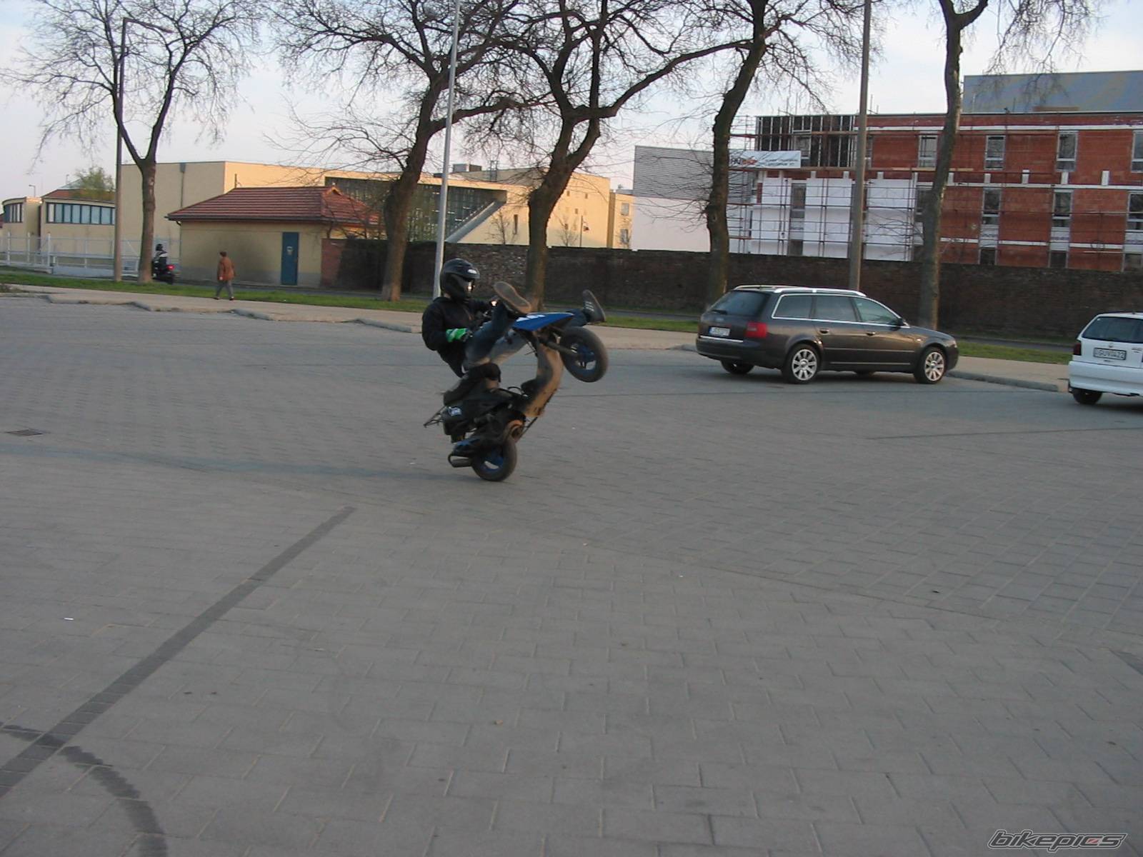 Photo 333839