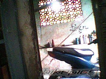 Photo 333845