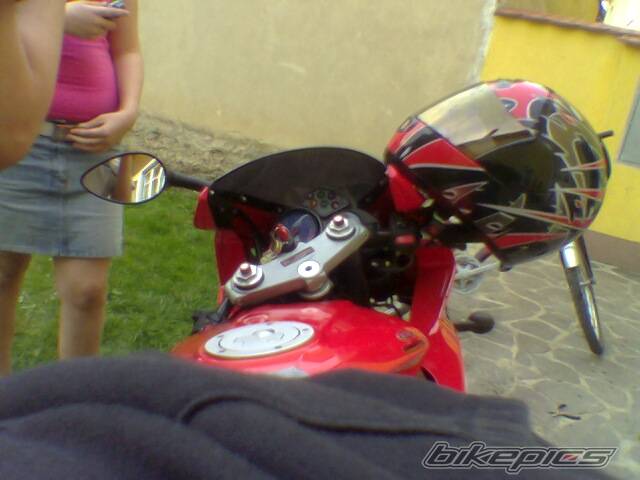 Photo 333959