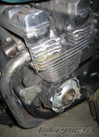 Bike Photo 334012