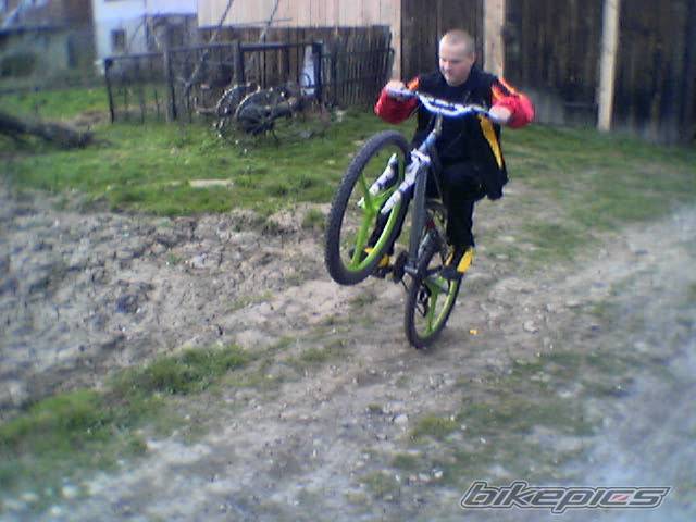 Photo 334046