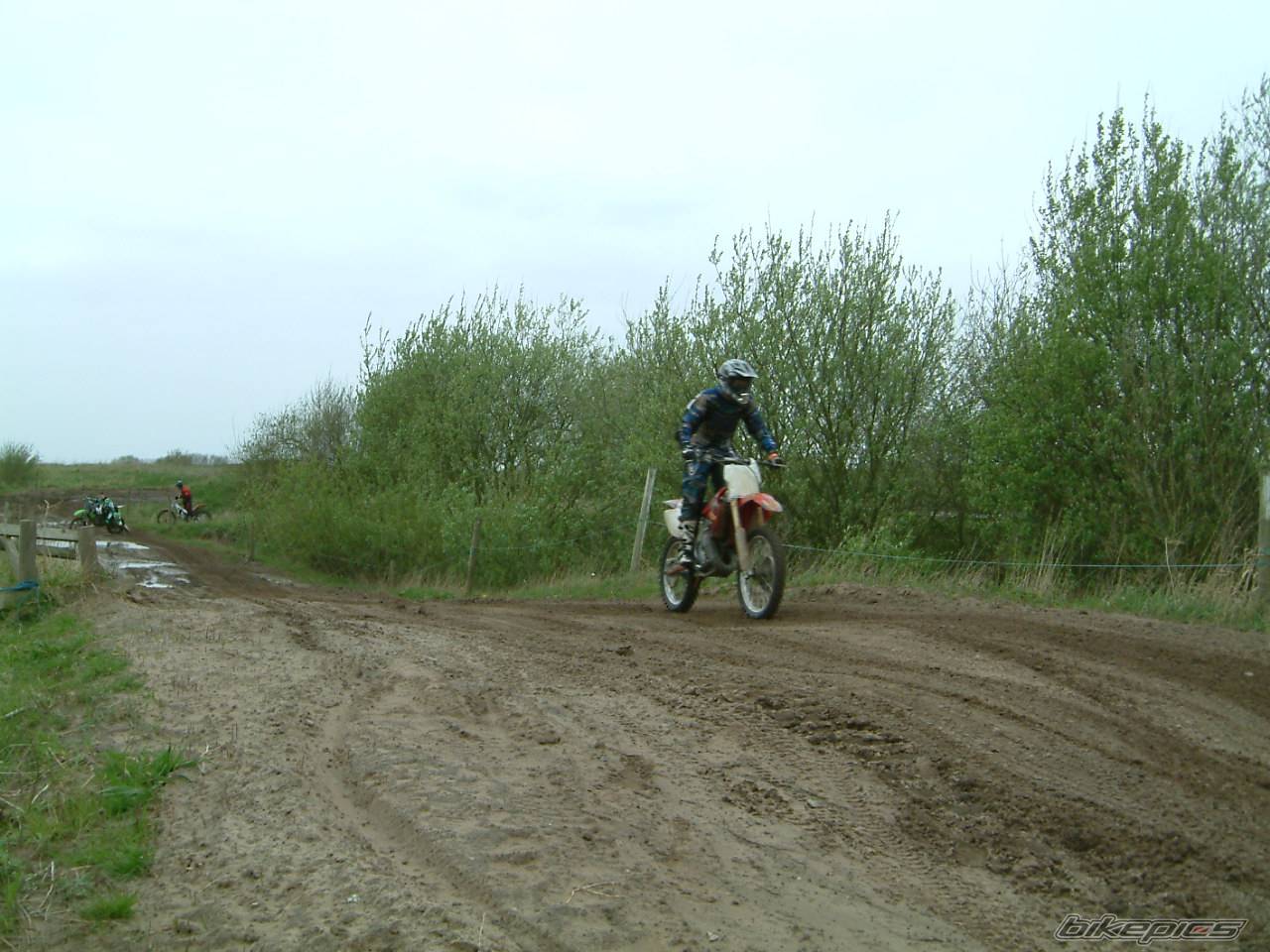 Photo 334049