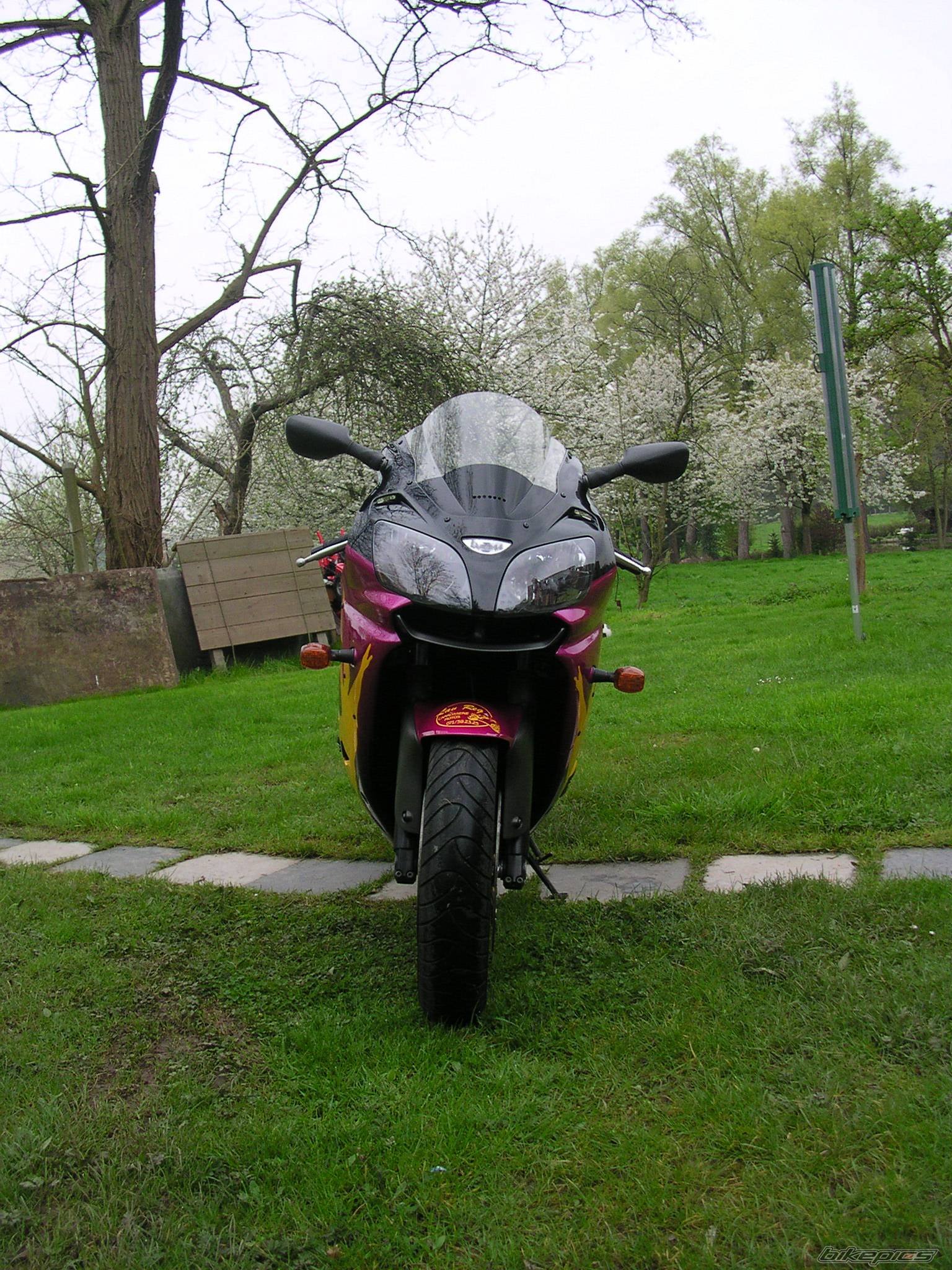 Photo 334076