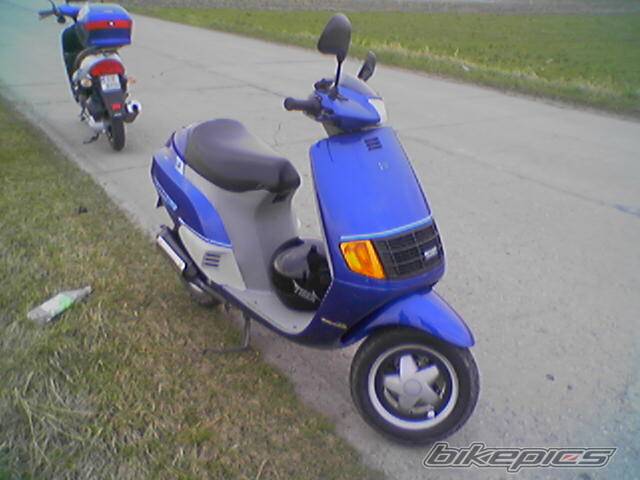 Photo 334079