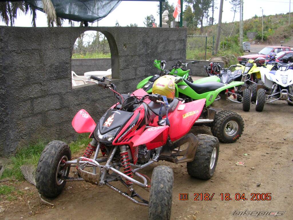 Photo 334294