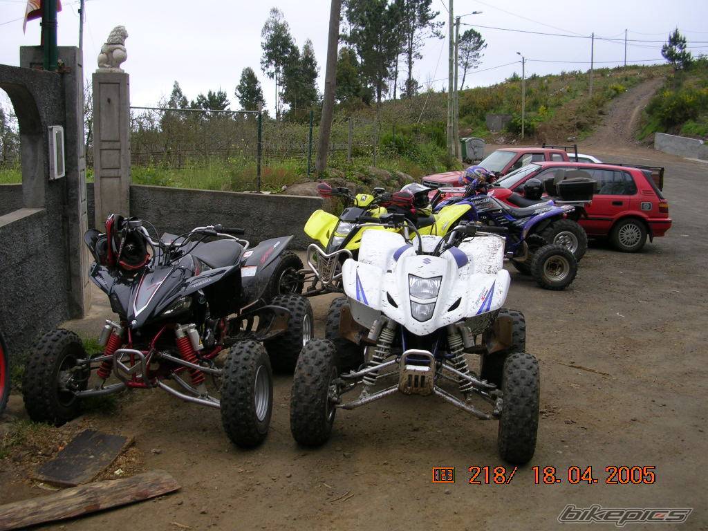 Photo 334316