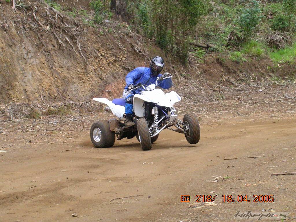 Photo 334319