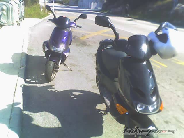 Photo 334342