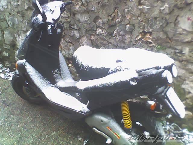 Photo 334346