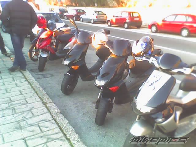 Photo 334354