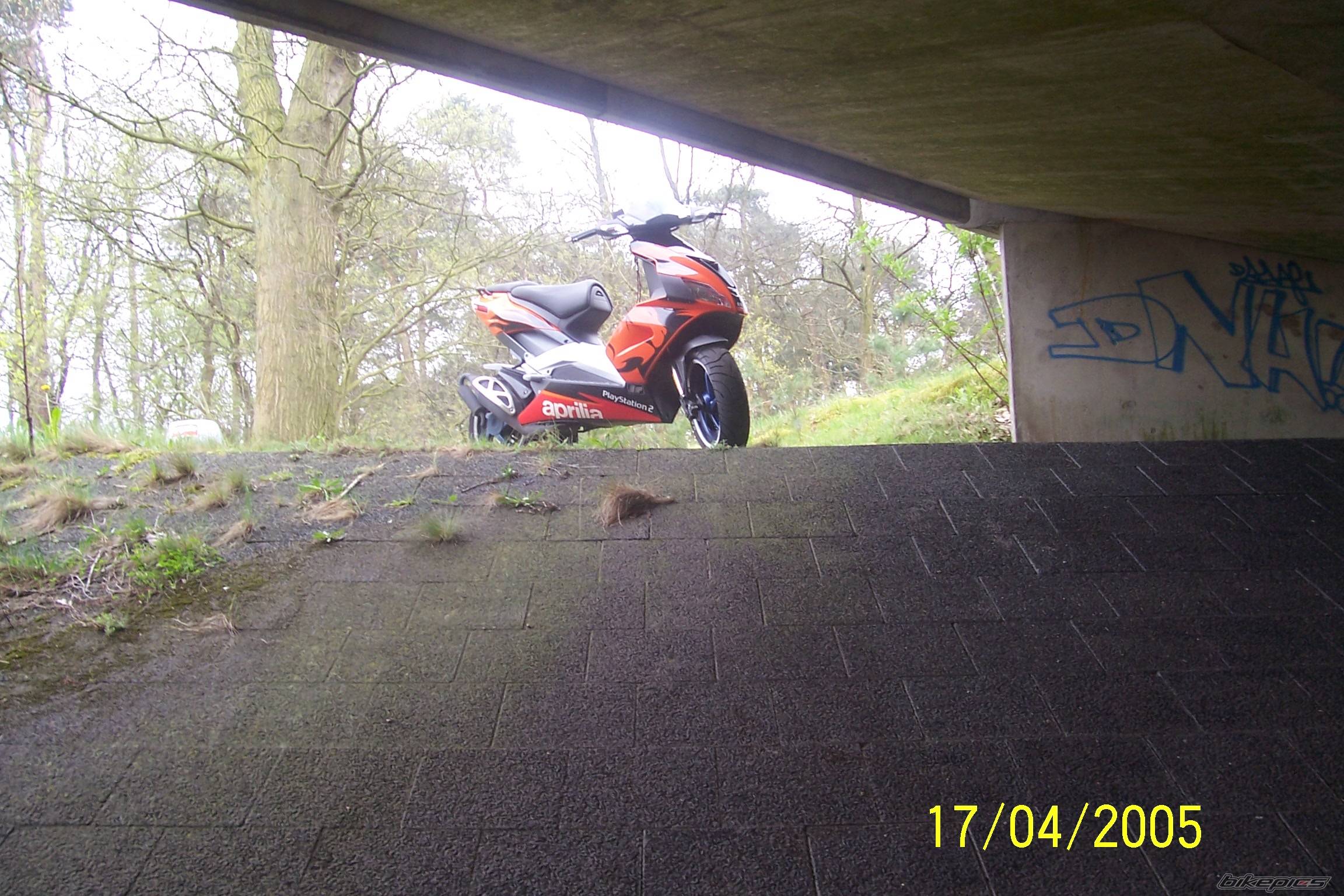 Bike Photo 334405