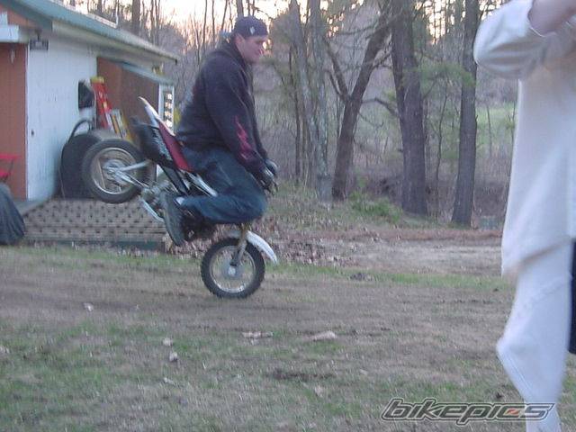 Photo 334509