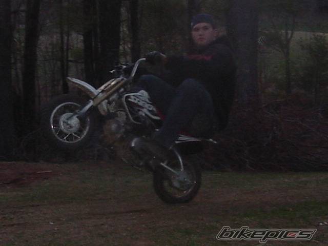 Photo 334510