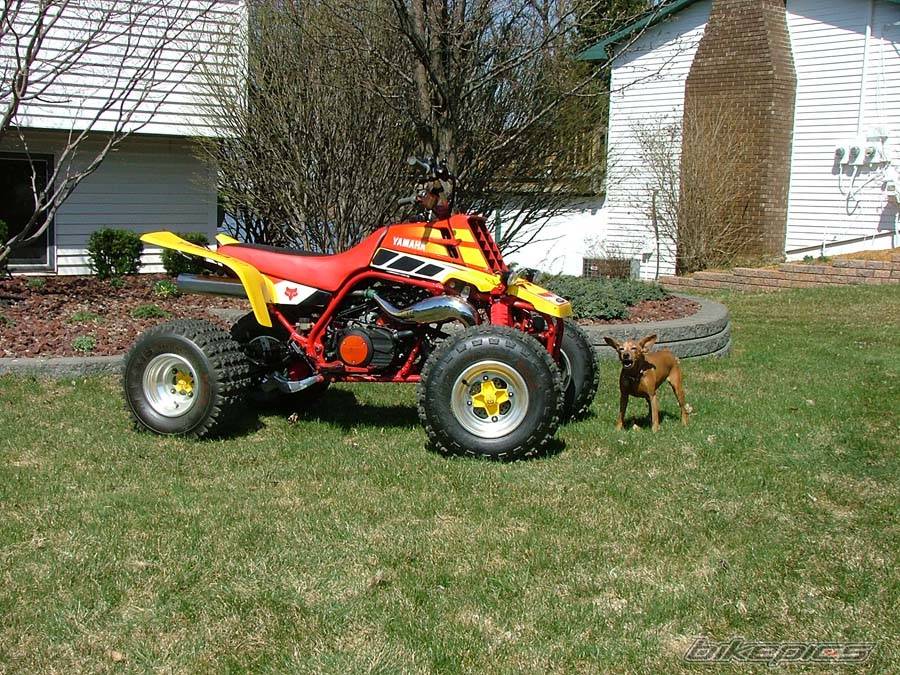 Bike Photo 334527