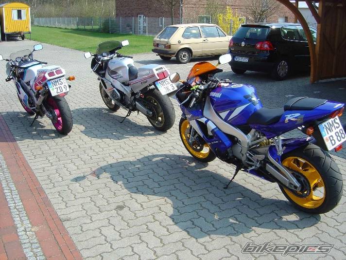 Photo 334559