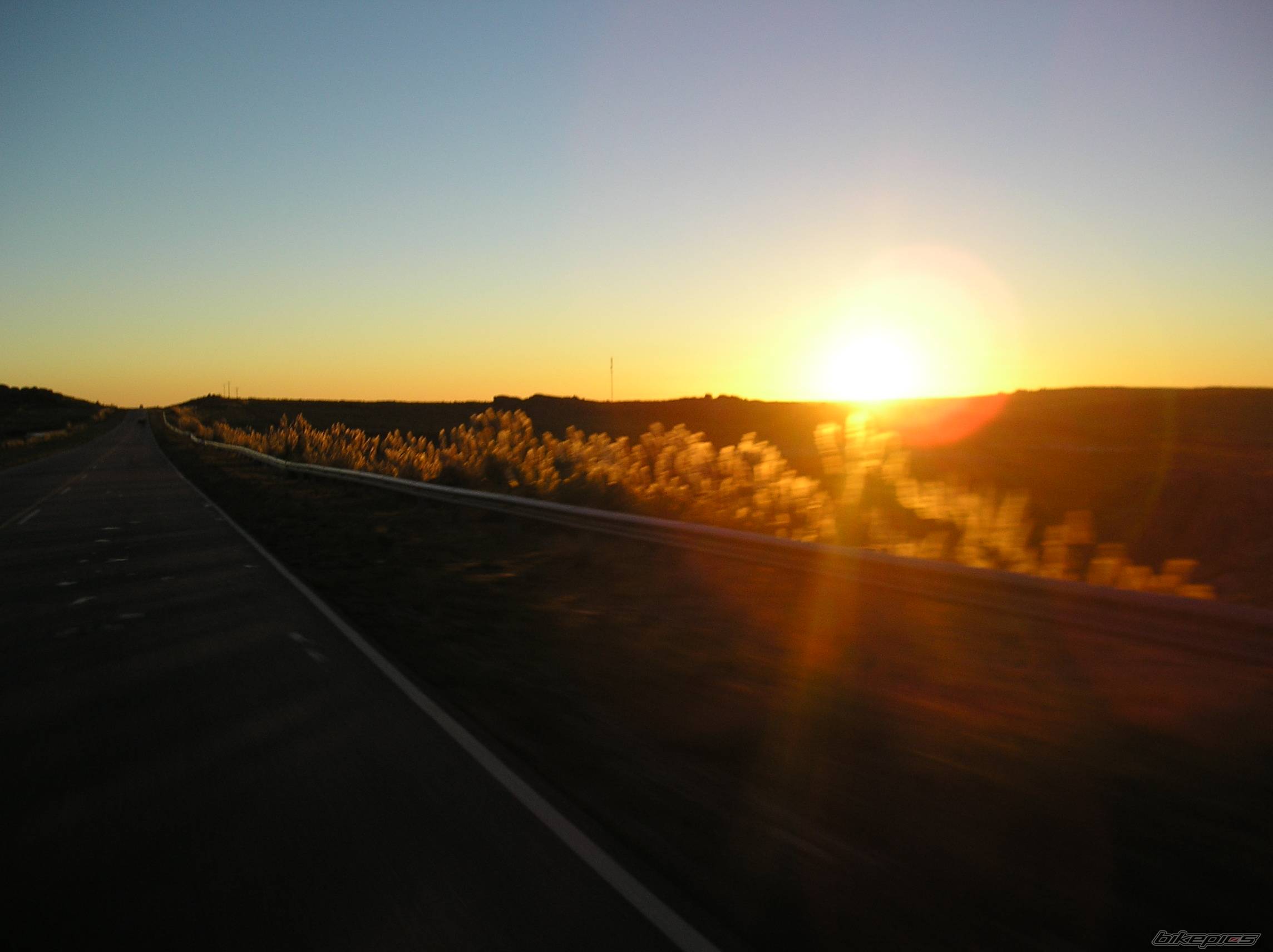 Photo 334667