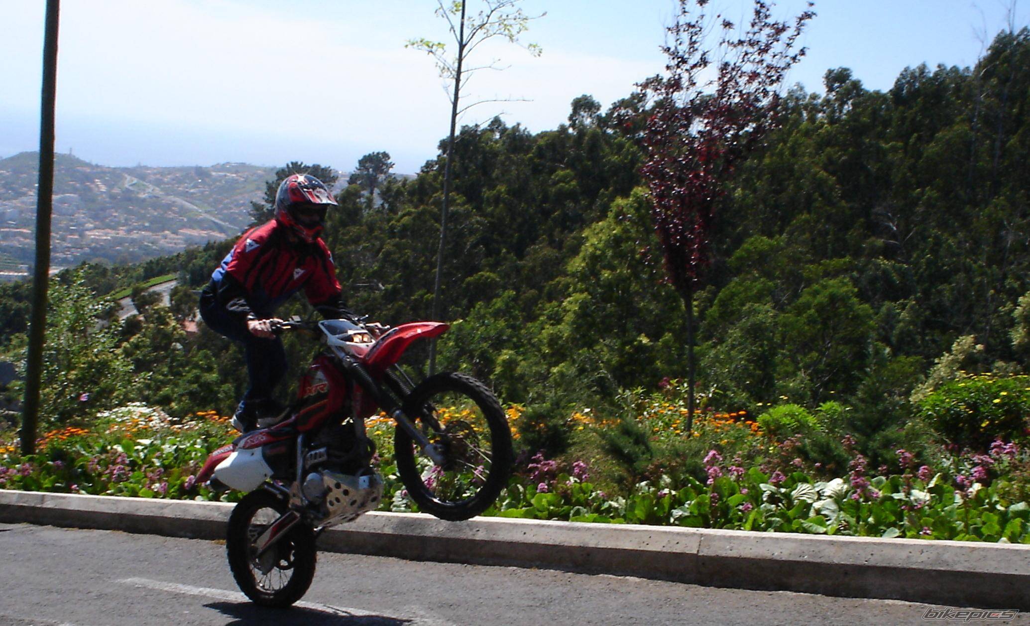 Bike Photo 334683