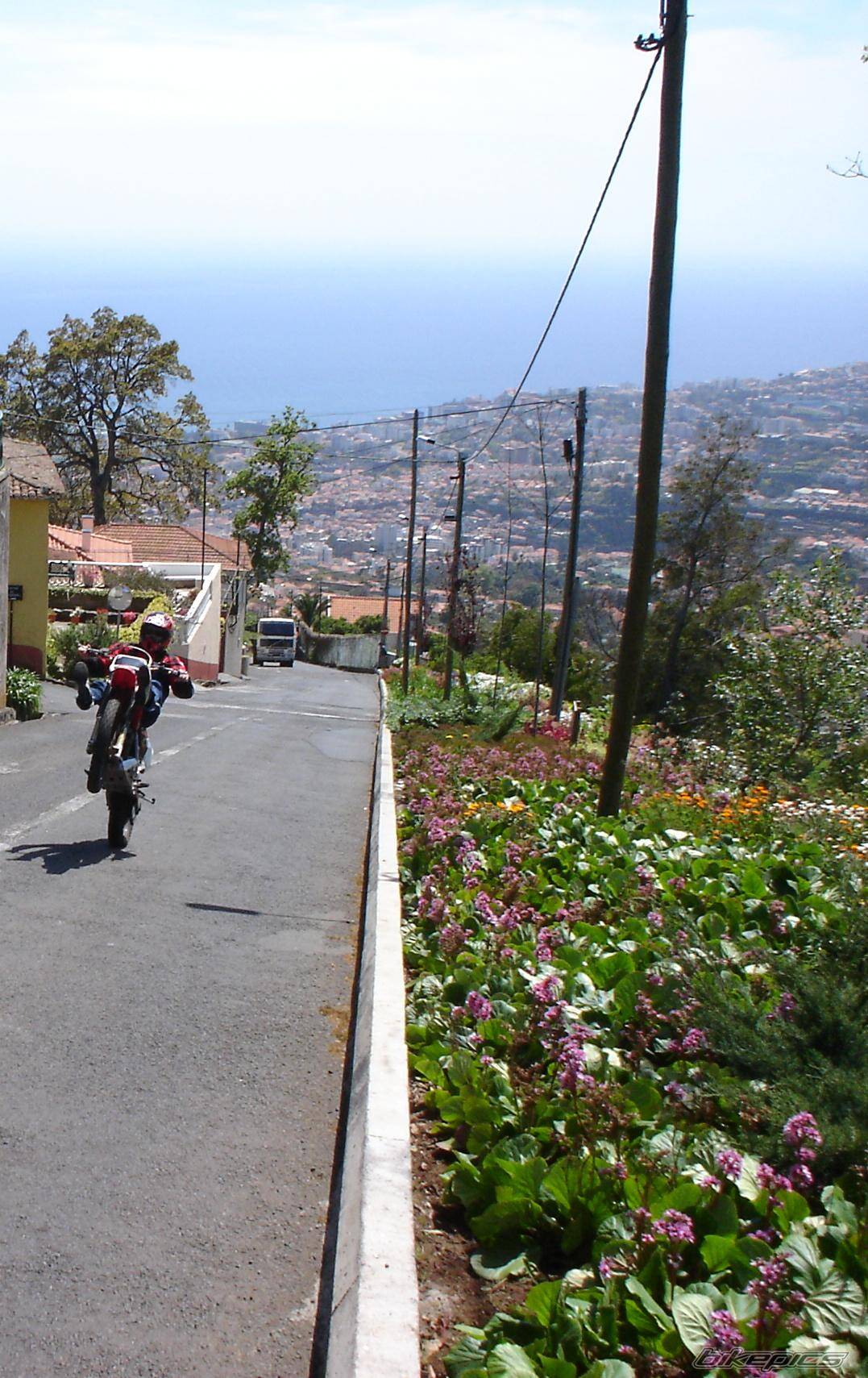 Bike Photo 334686