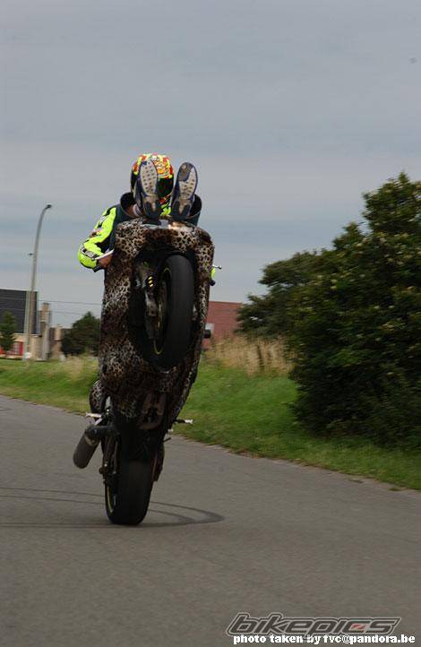 Bike Photo 33478