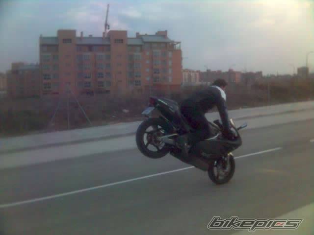 Photo 334799