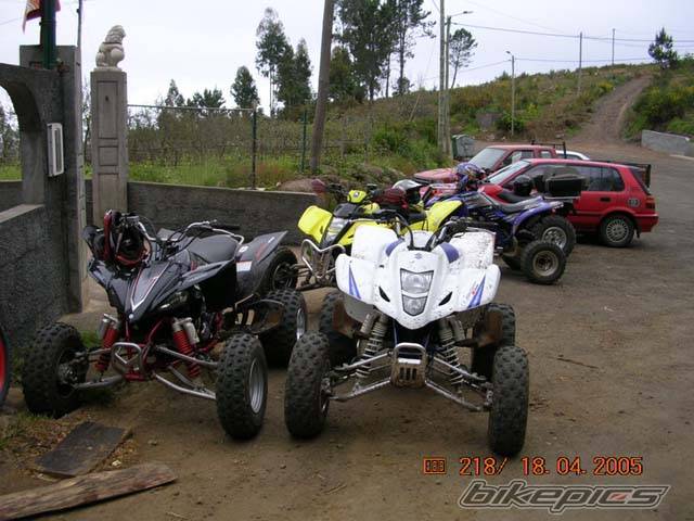 Photo 334895