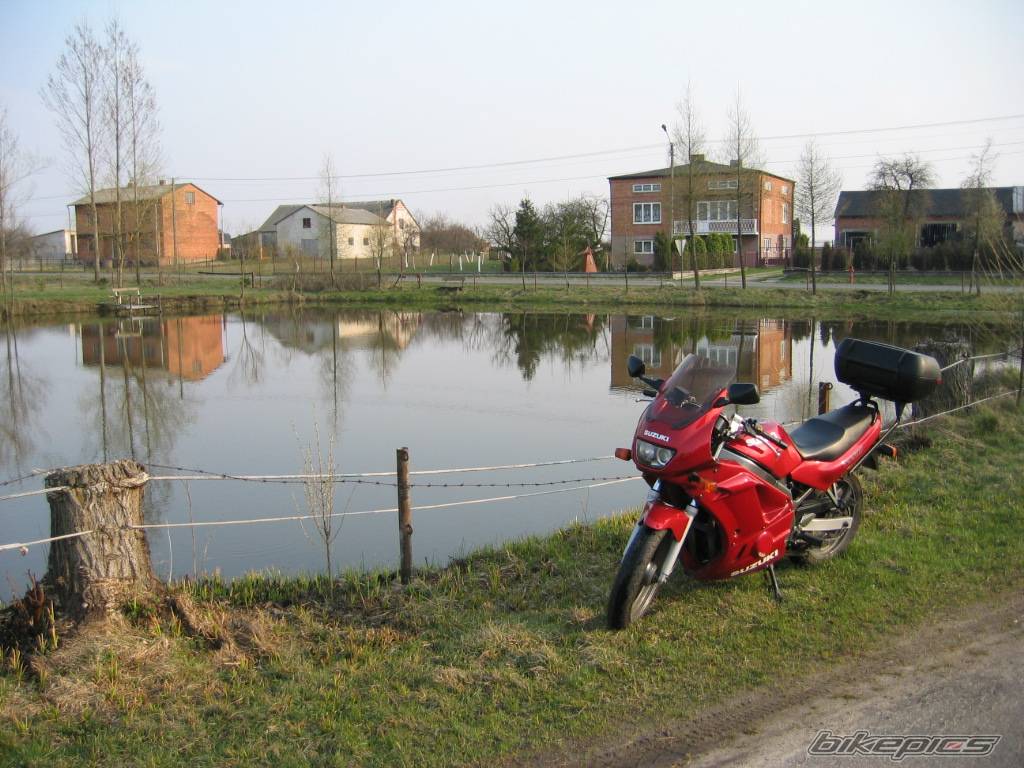Photo 334932