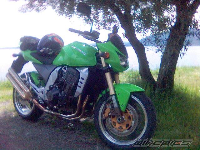 Photo 335047