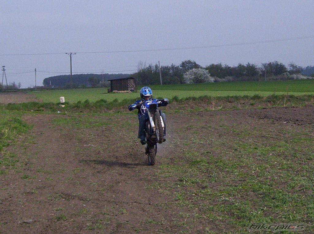 Photo 335198