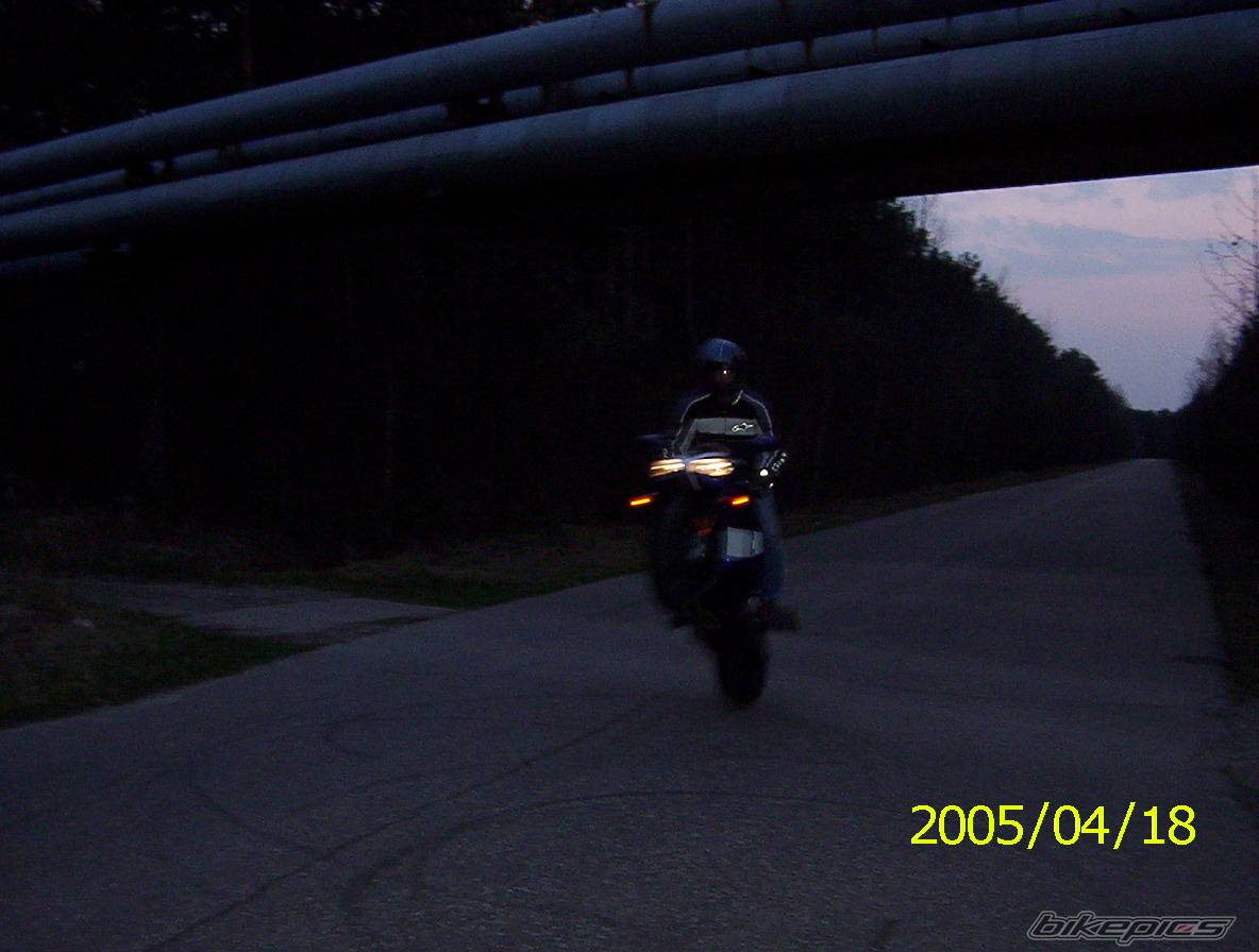 Photo 335229
