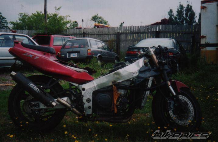 Photo 33568