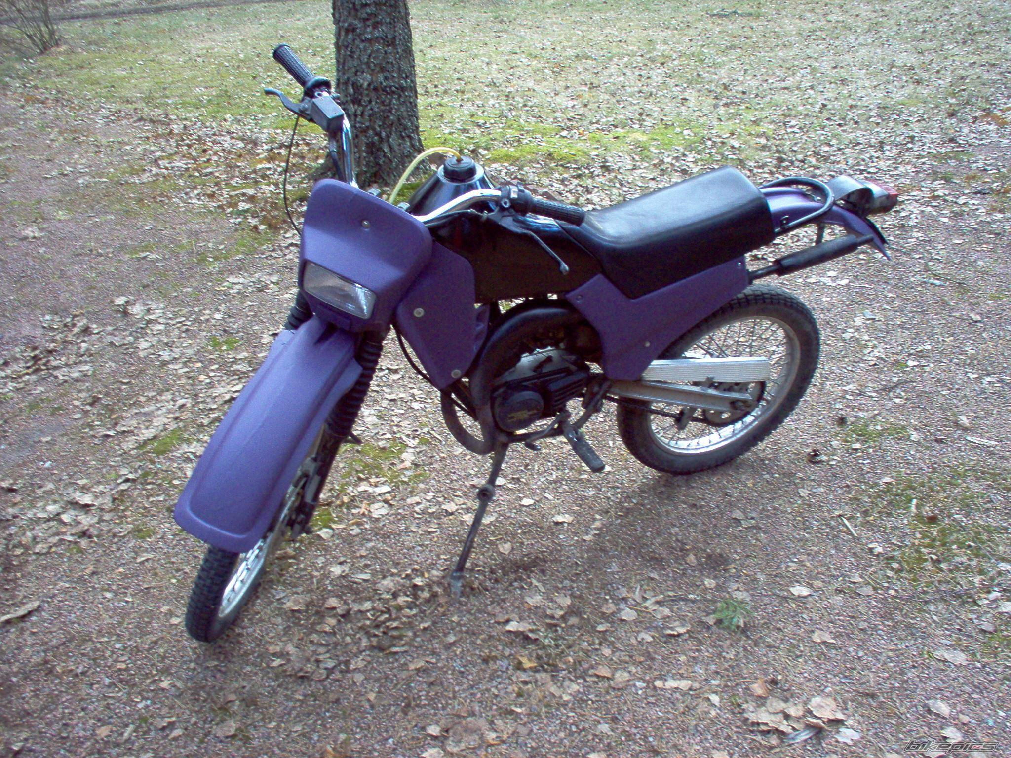 Photo 335763
