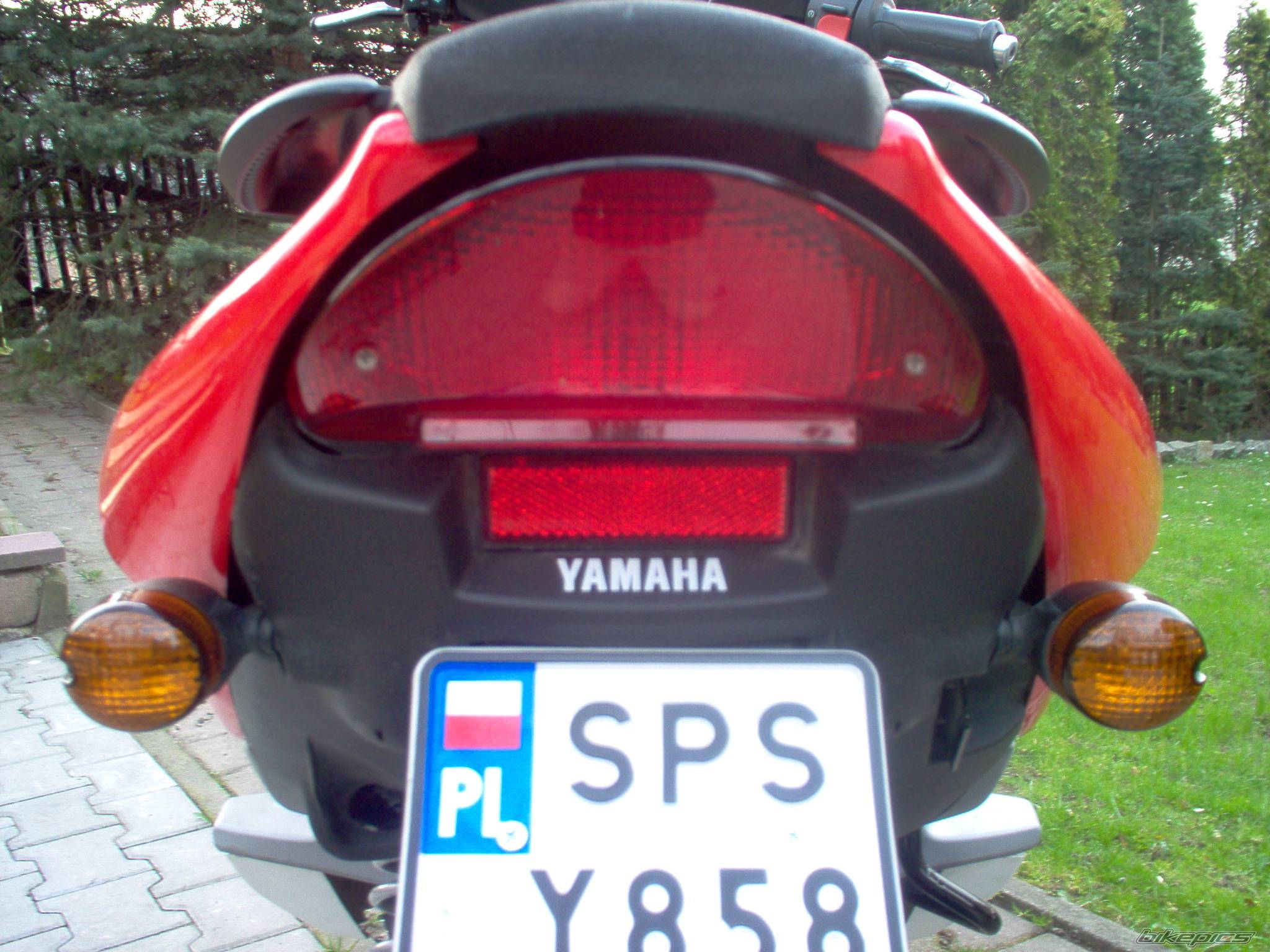 Photo 335821