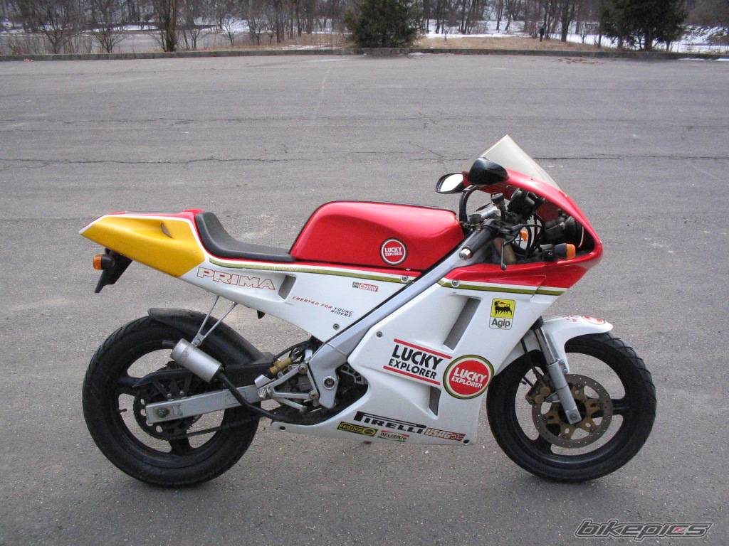 Bike Photo 335867