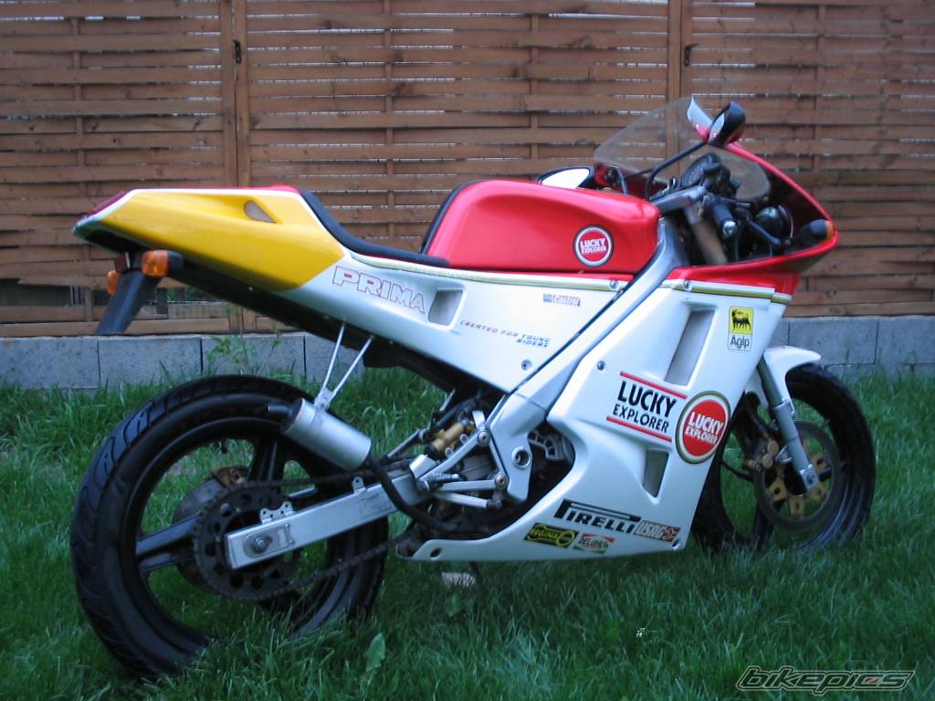 Bike Photo 335868
