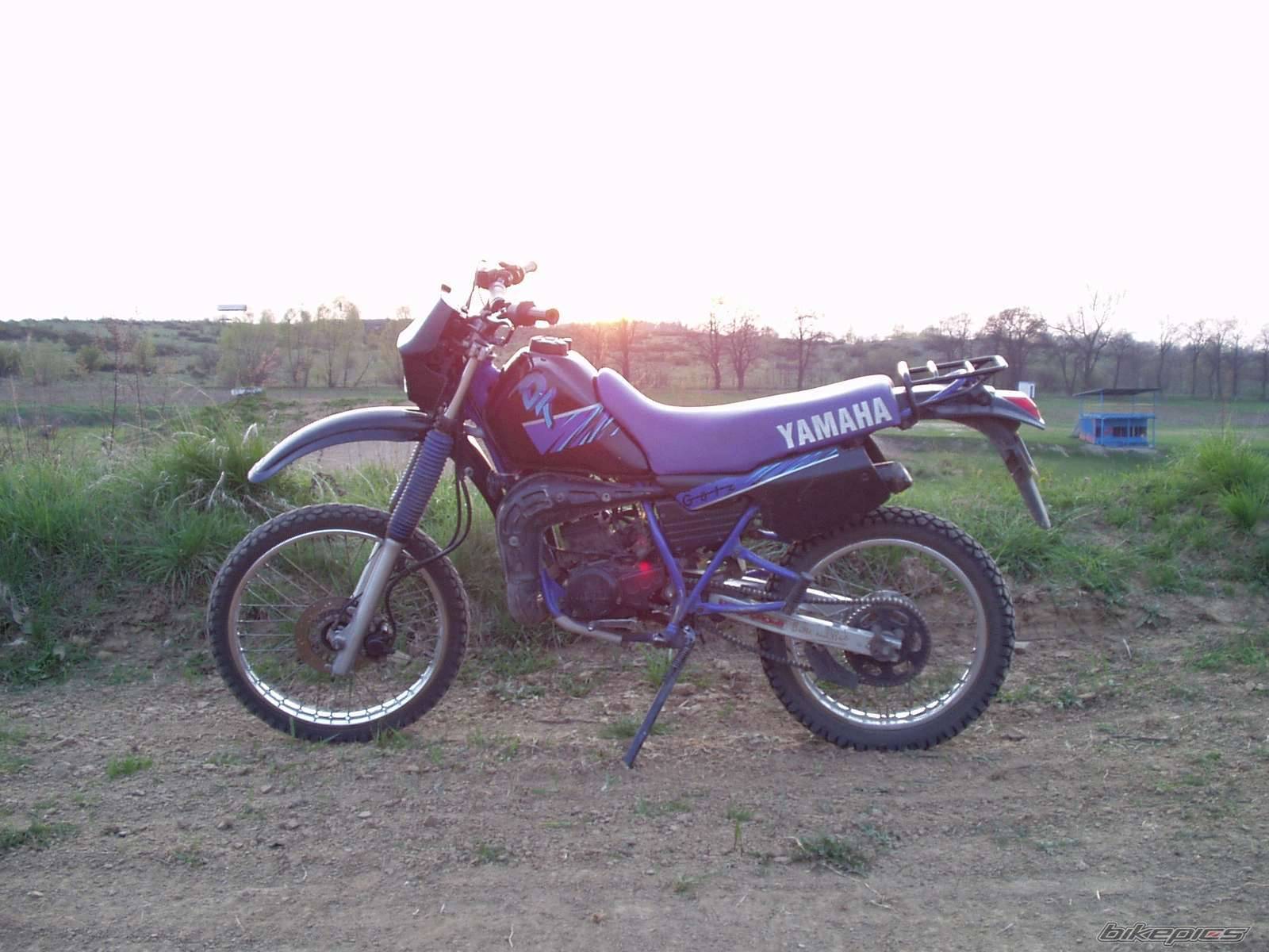 Photo 335895