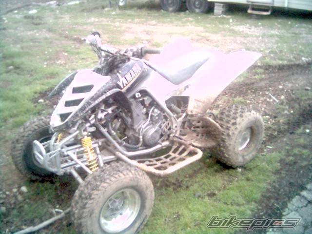 Photo 336031