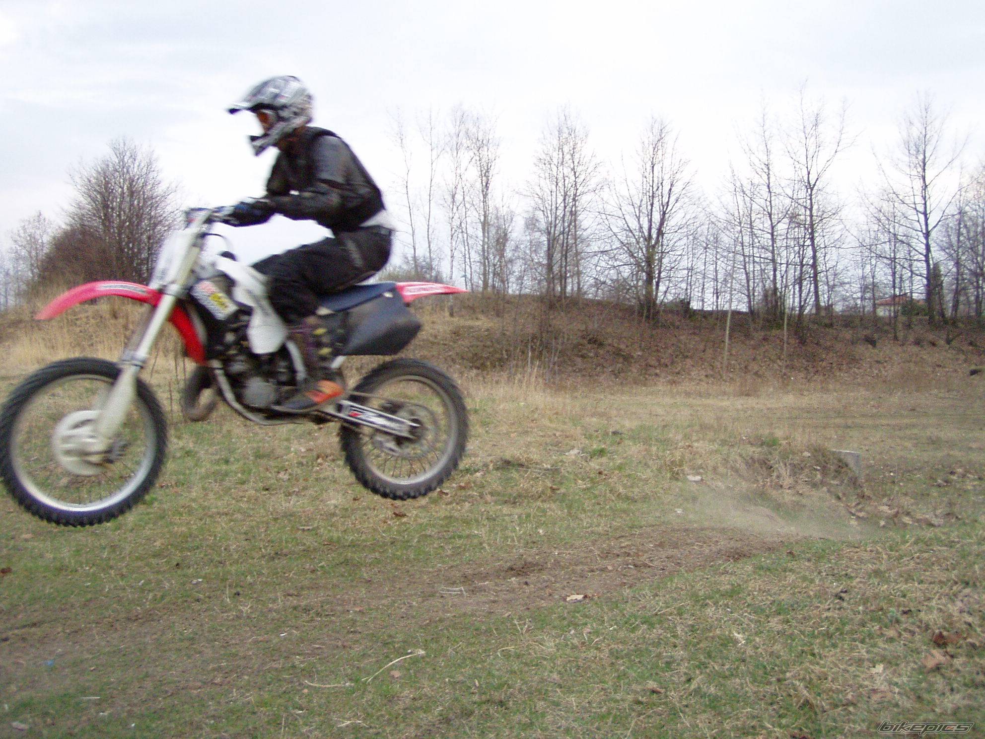 Photo 336039