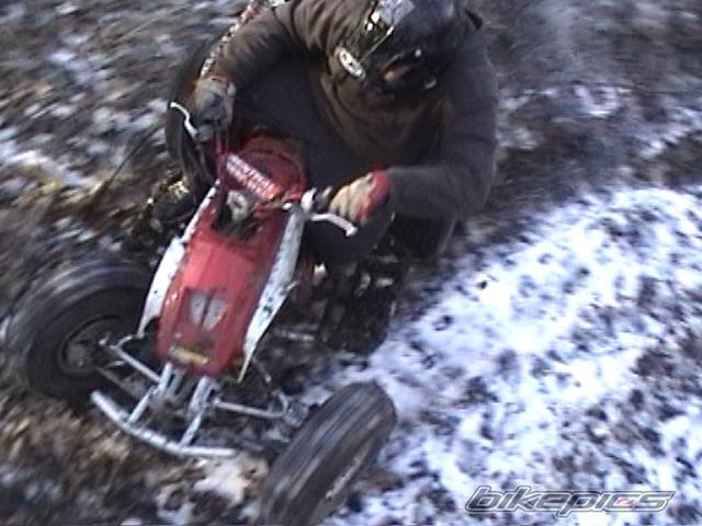 Photo 336069