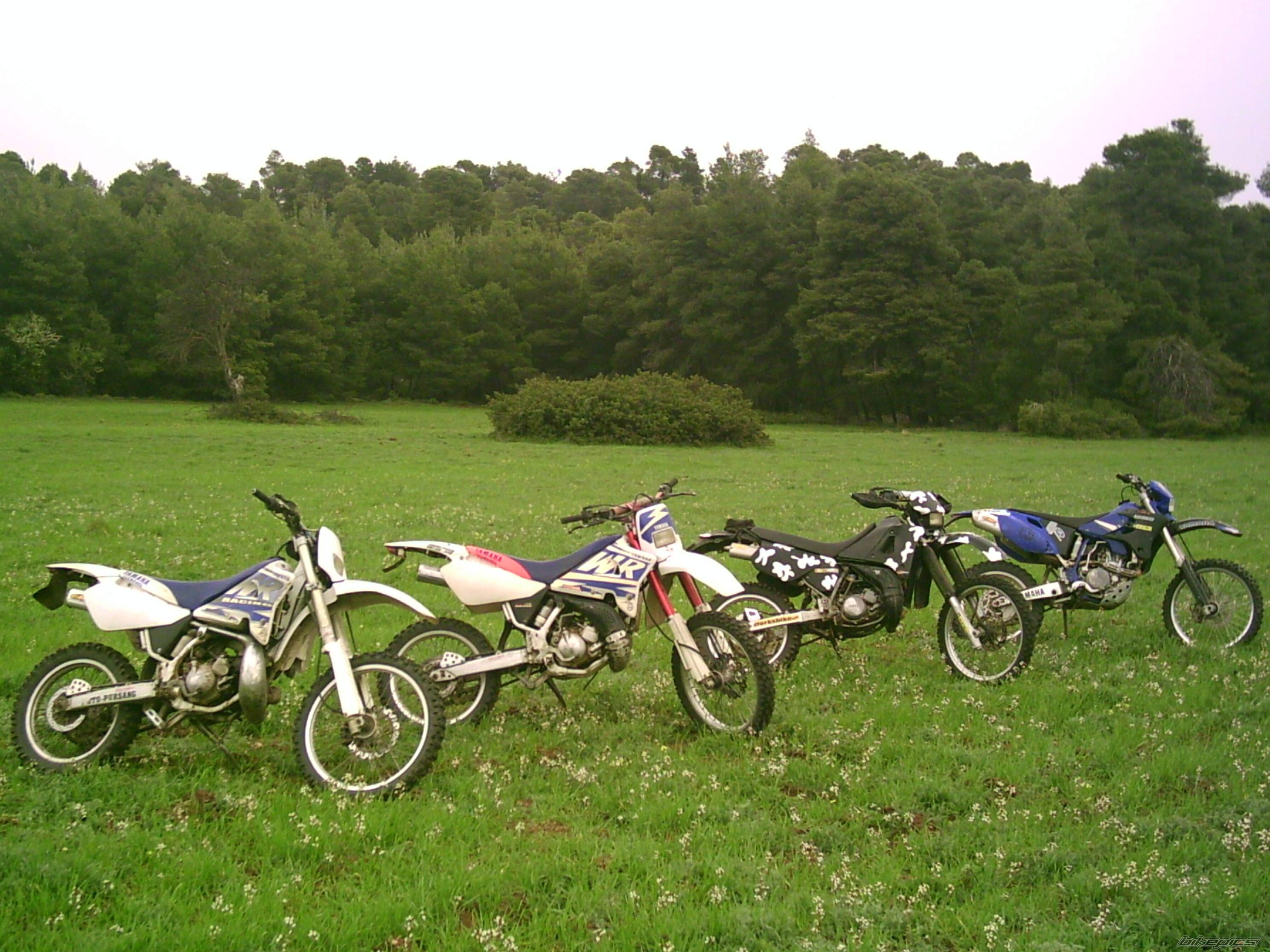 Photo 336203