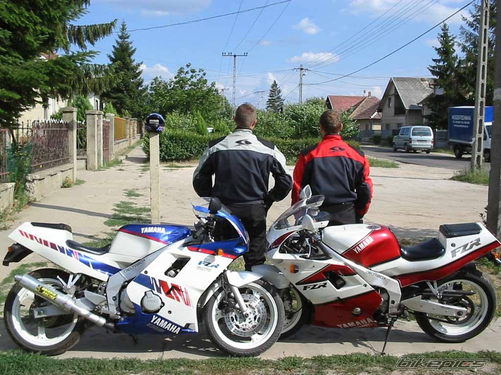 Bike Photo 336369