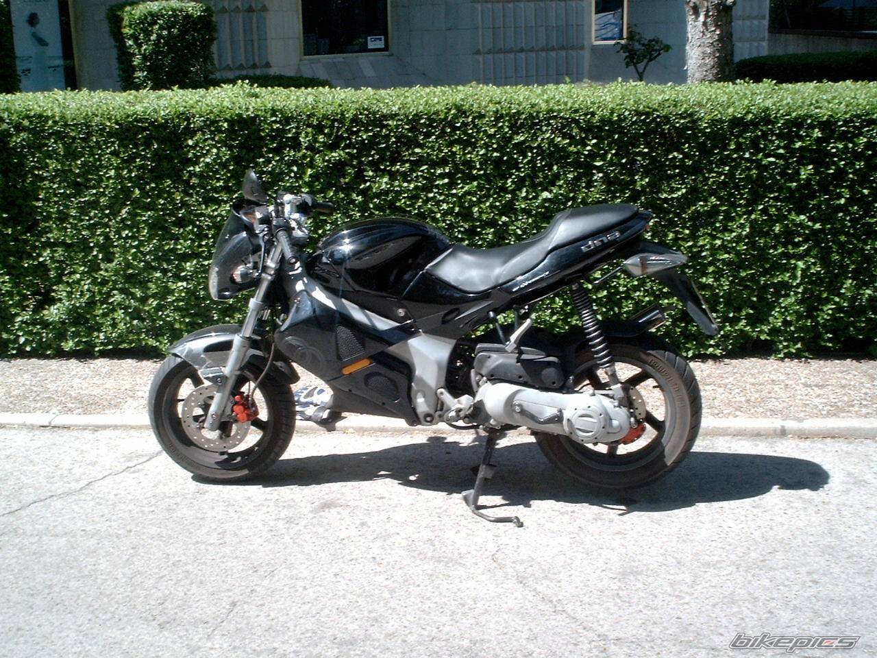 Photo 336436