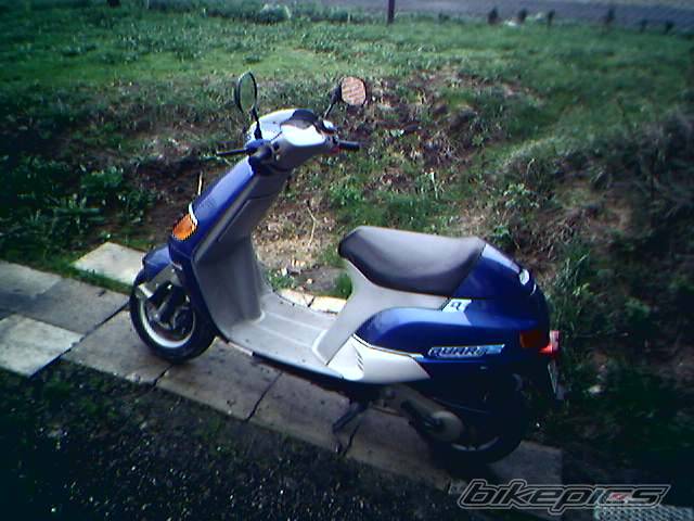Photo 336450