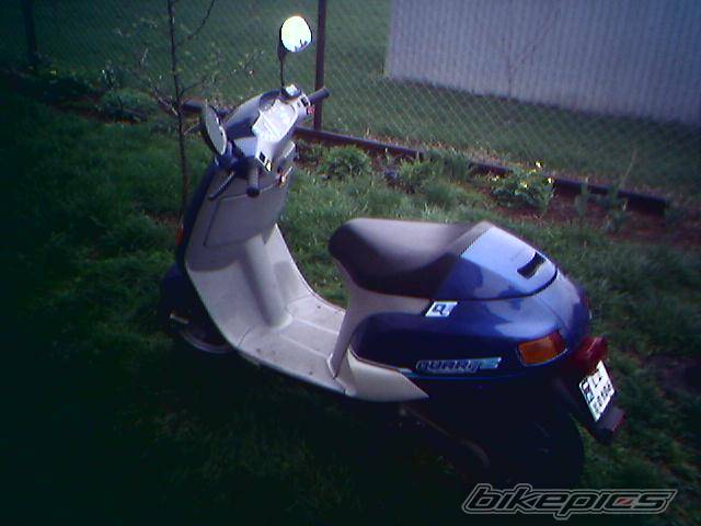Photo 336477