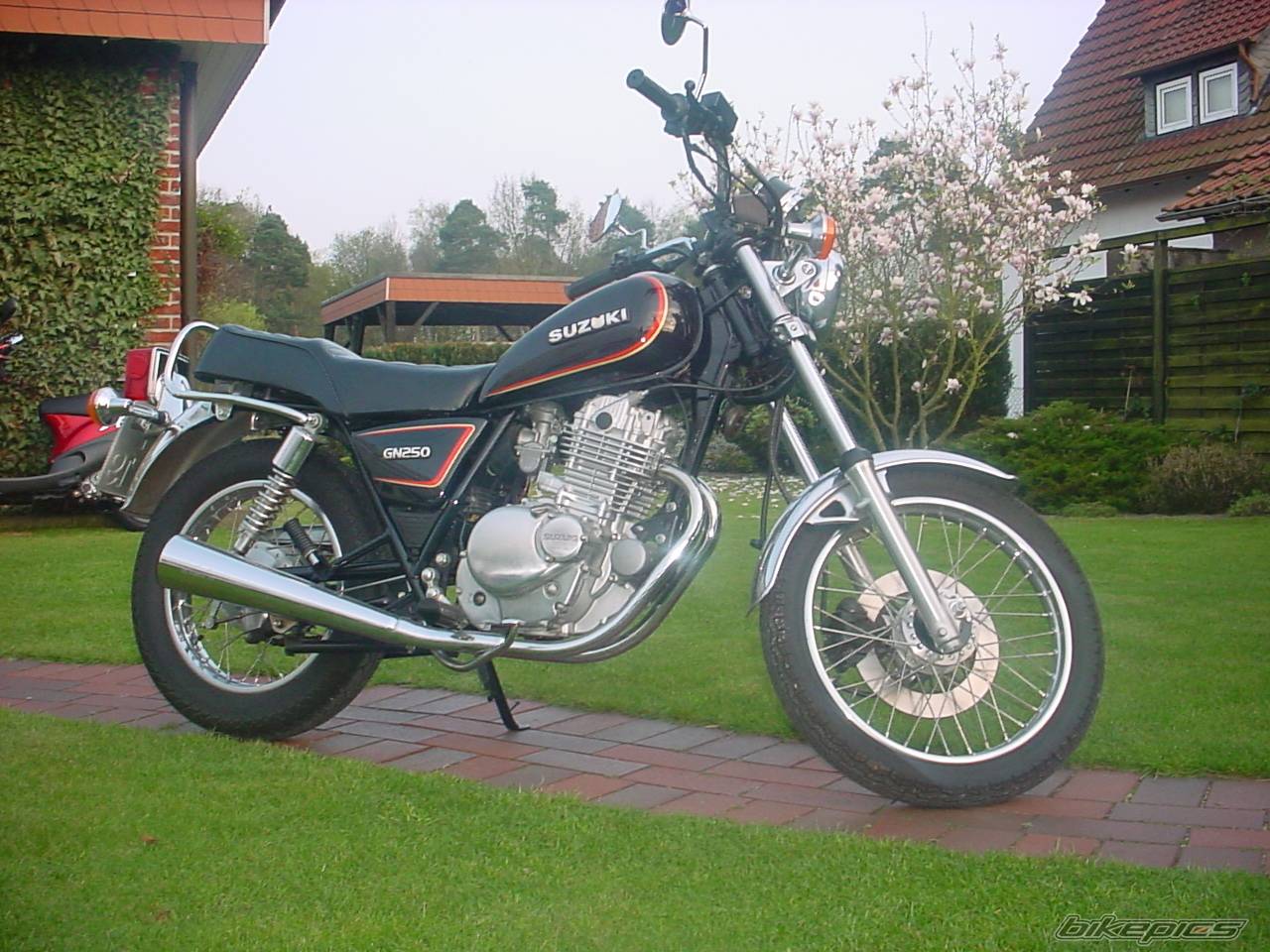 Bike Photo 336536